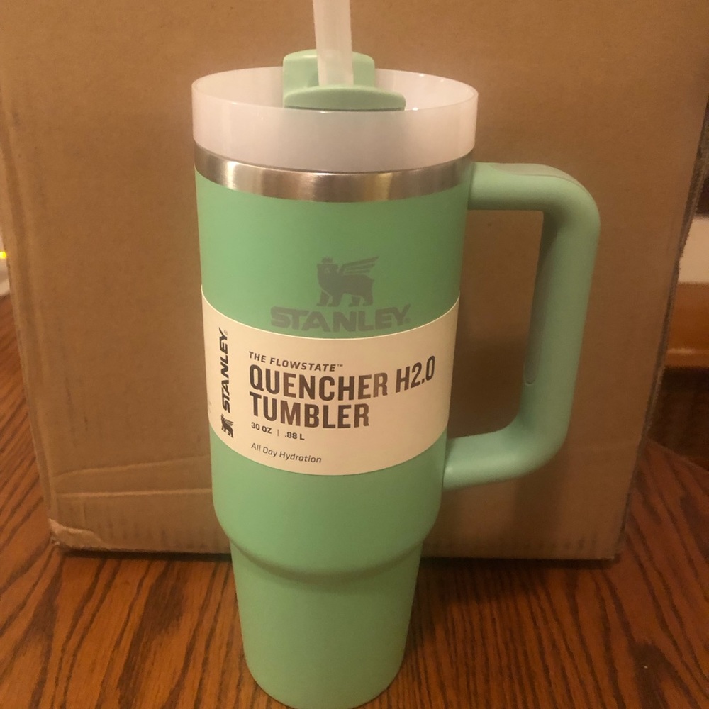 Stanley Quencher H2.0, mint green, 30 ounce. Brand new, never used.